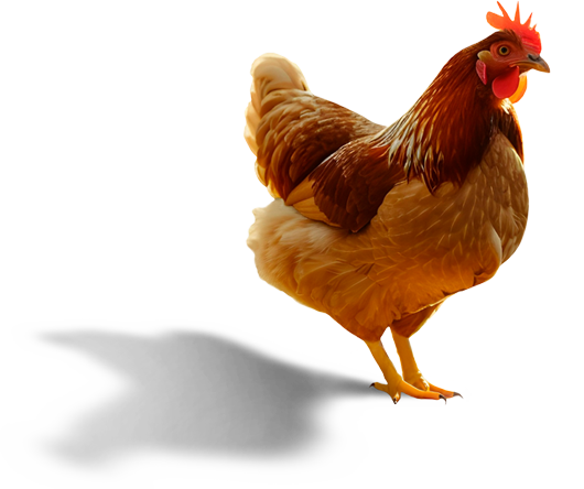 Green%20Legislation%20Agricultural%20Co Operative